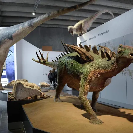 Сasa de vacaciones X