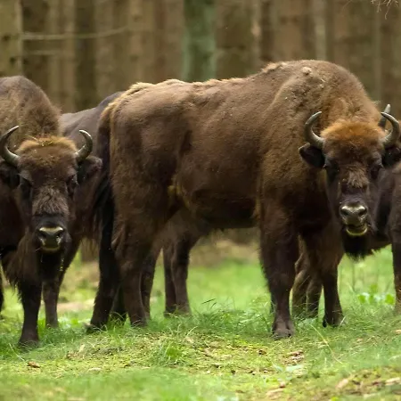 X Сasa de vacaciones Neksø